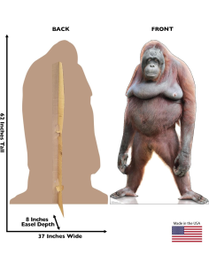 CARTÓN ORANGUTAN